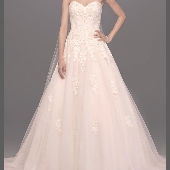 David's Bridal Dresses & Skirts - NWT Embroidered Lace Appliqué Wedding Dress in Ivory Sand: Size 2
